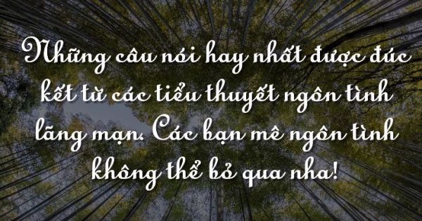 20 câu nói ngôn tình hay nhức nhói