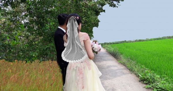 Khi tổ chức đám cưới giả, chúng ta sẽ được gì?