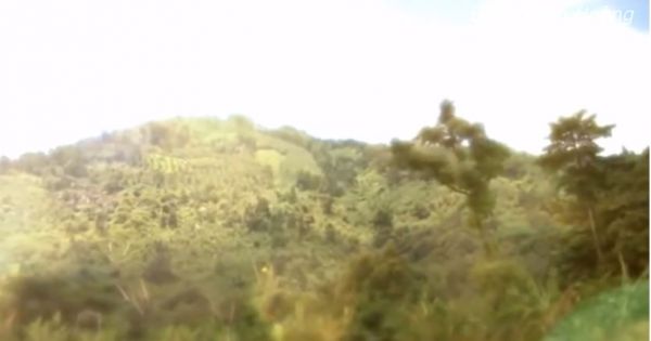 Top 10 ngọn núi nổi tiếng nhất Việt Nam thu hút nhiều bạn trẻ chinh phục