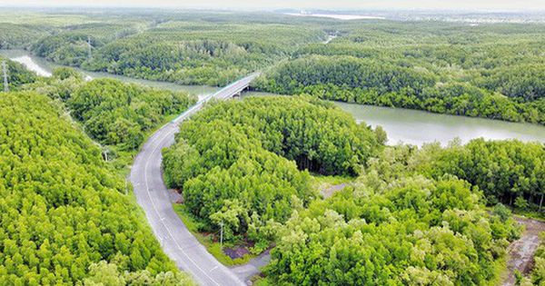 Xây dựng thương hiệu rừng Cần Giờ như là Amazon của Việt Nam