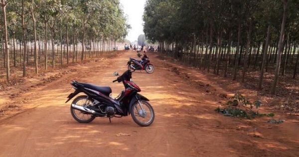 Đồng Nai: Một người đàn ông chết trong trong lô cao su