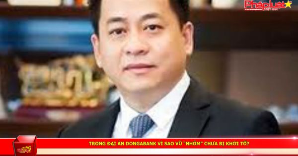 Trong đại án DongABank vì sao Vũ “nhôm” chưa bị khởi tố?