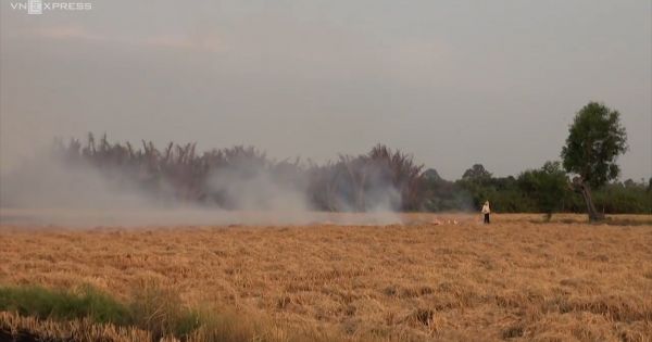 Người dân vẫn đốt đồng hai bên cao tốc TP HCM - Long Thành