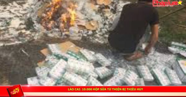 Lào Cai: 10.000 Hộp sữa từ thiện bị thiêu hủy