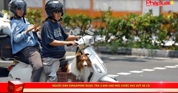 Người dân Singapore được trả 2.600 USD mỗi chiếc khi vứt xe cũ