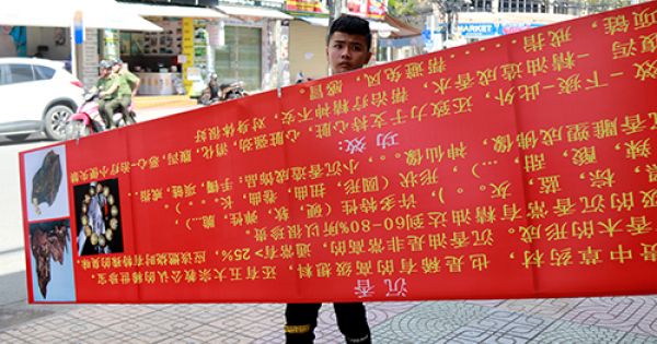 Khánh Hòa xử lý biển hiệu 