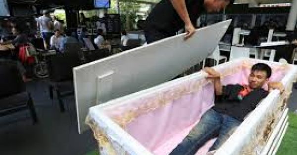 Tiệm cà phê độc nhất vô nhị ở Thái Lan