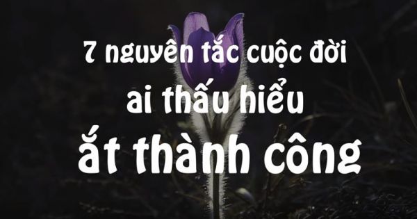 7 nguyên tắc để thành công