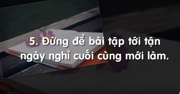 19 sự thật 