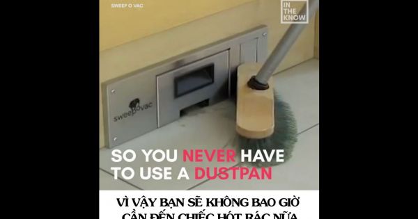 Mắt tròn mắt dẹt với bức tường biết “ăn rác”