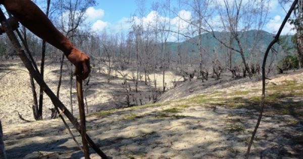 Vụ người dân phản đối trạm quan trắc gió Mỹ An: 14 người được thả tự do, tình hình được vãn hồi