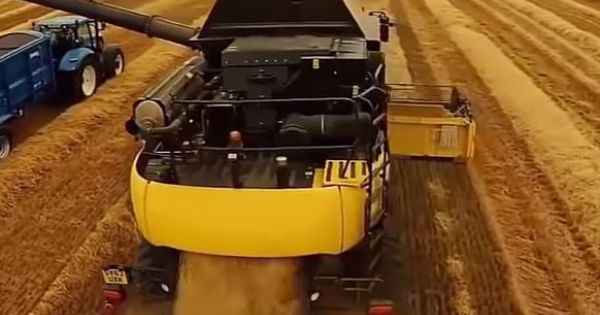 Bạn Không Thể Tin Nổi Đây Là Cách Thu Hoạch Nông Nghiệp Ở Nước Ngoài - Đỉnh Cao Của Con Người