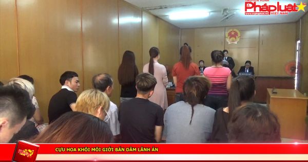 Cựu hoa khôi môi giới bán dâm lãnh án