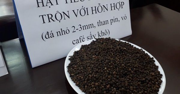 Vụ hỗn hợp vỏ cà phê trộn sỏi và nhuộm pin: Hỗn hợp được trộn vào hạt tiêu xô để nâng khối lượng