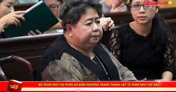 Bà trùm Hứa Thị Phấn đã biến Phương Trang thành vật tế thần như thế nào?