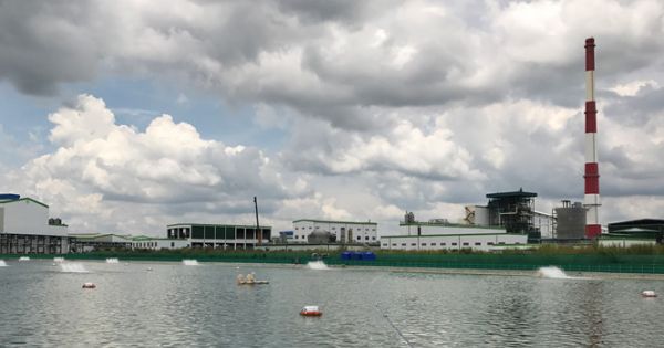 Hậu Giang tiêu hủy 150 cuốn lịch in sai bản đồ Việt Nam của công ty Lee & Man Việt Nam