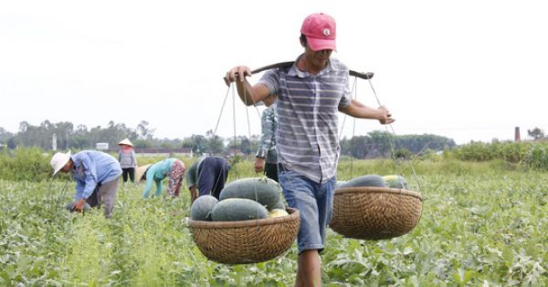 Quảng Nam kêu gọi công viên chức 