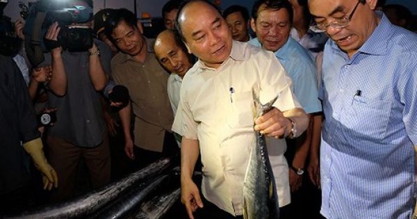 Thủ tướng chủ trì cuộc họp về giải pháp ổn định cho 4 tỉnh Miền Trung