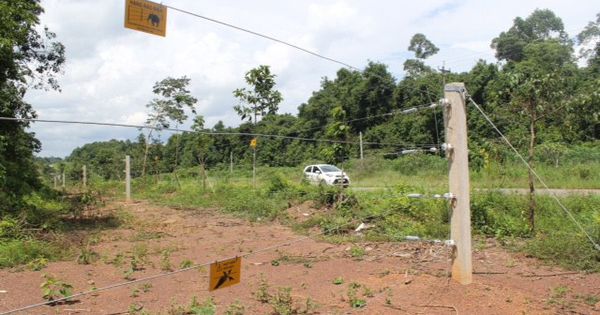 Nghệ An: Khởi tố chủ tịch và phó chủ tịch xã lạm quyền bán 283 lô đất