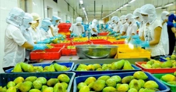 Xuất khẩu hàng Việt Nam sang Mỹ sẽ khó khăn hơn