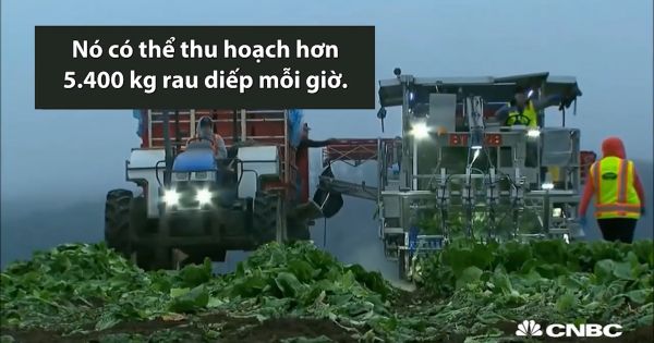 Những cỗ máy làm 