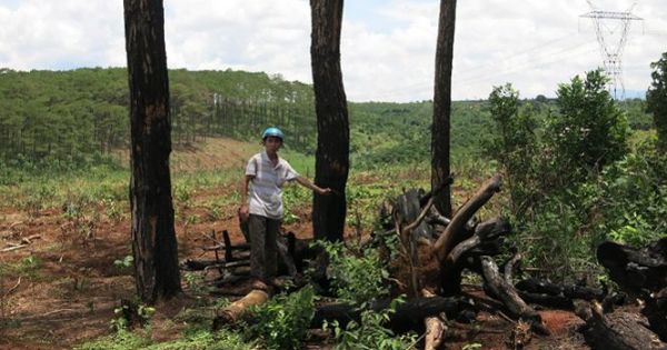 UBND tỉnh Đắk Nông yêu cầu sớm kết thúc vụ điều tra tại Cty TNHH Thương mại Nguyên Vũ