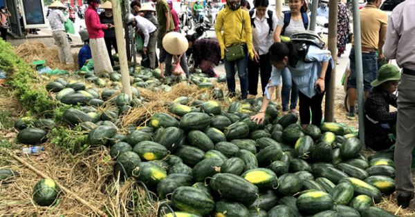 Điểm báo 28/05/2018: Giải cứu nông sản: Điểm yếu cố hữu của ngành Nông nghiệp và Công thương