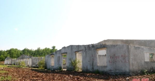 Trung tâm sản xuất giống chăn nuôi gần 20 tỷ đồng bỏ hoang