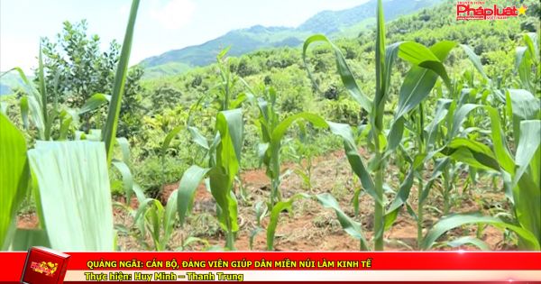 Quảng Ngãi: Cán bộ, Đảng viên giúp dân miền núi làm kinh tế