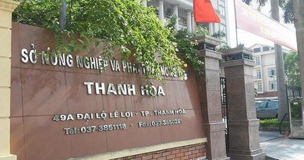 Vụ giám đốc Sở bổ nhiệm kiểu 