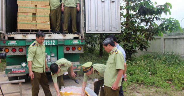 Container chở hơn 6,5 tấn thịt động vật hôi thối vào TP.HCM