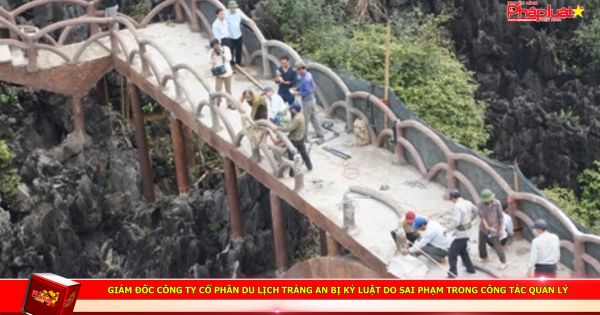 Giám đốc công ty cổ phần Du lịch Tràng An bị kỷ luật do sai phạm trong công tác quản lý