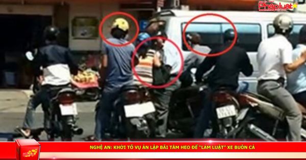 Nghệ An: Khởi tố vụ án lập bãi tắm heo để “làm luật” xe buôn cá