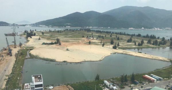 Ninh Bình: Xót xa hàng chục hecta 