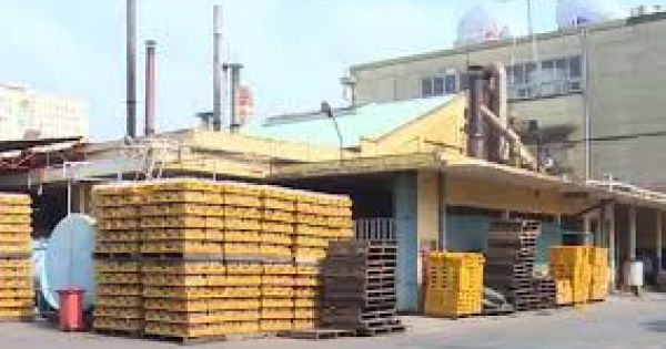 Sabeco đòi Sá xị Chương Dương thanh toán cổ tức dù thua lỗ