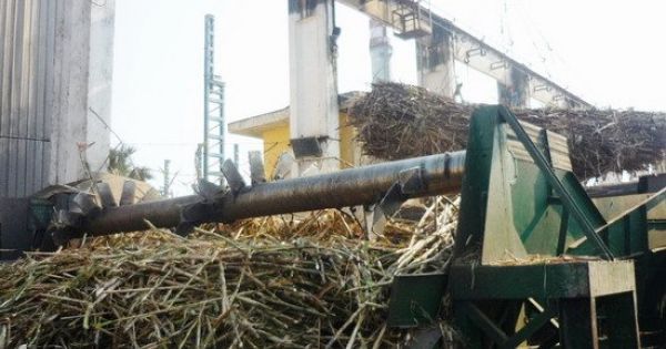 Xả thải ra sông, Công ty CP Đường Bình Định bị phạt 1,9 tỉ đồng