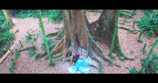 Phim ca nhạc: Người đẹp và Quái vật