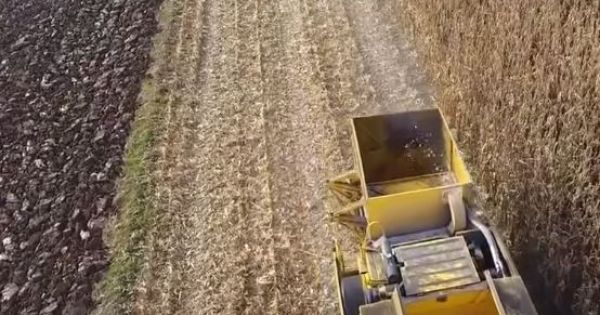 Max Phê Với Công Nghệ Nước Ngoài Chỉ Là Thu Hoạch Thôi Có Cần Khủng Vậy Không