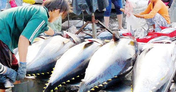 Điểm báo 27/06/2018: Hải sản Việt Nam bị “thẻ vàng” thêm 6 tháng