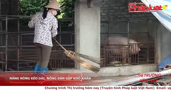 Thị trường hôm nay 03/07/2018