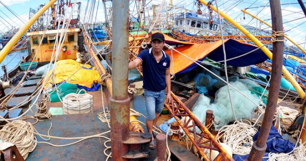 Công ty TNHH Đại Nguyên Dương chưa chịu bồi thường cho chủ có tàu thép hư hỏng