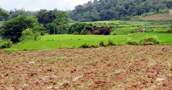 Hà Nội: Hàng chục nhân khẩu cầu cứu vì việc đền bù chưa thỏa đáng