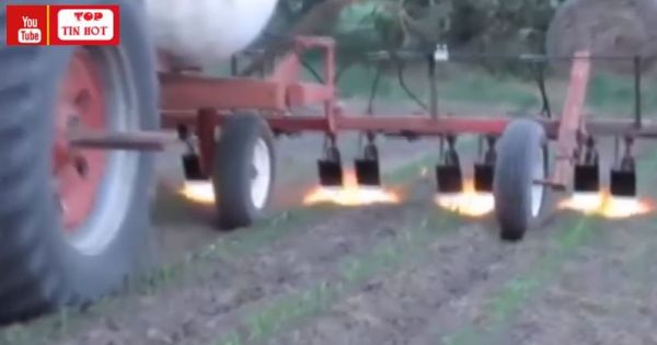 Cách Diệt Cỏ Tận Gốc Của Các Bác Nông Dân Nước Ngoài