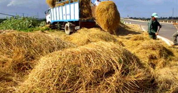 Hà Tĩnh: Xe dùng trong ngày mùa cũng chịu phạt 2 triệu đồng trong 1 năm