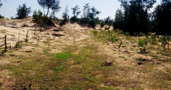 Bình Định: Xem xét khởi tố hàng loạt cán bộ 