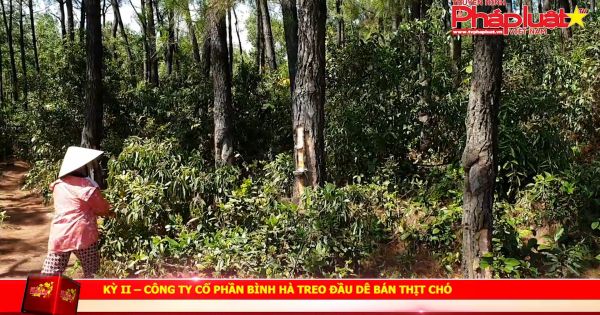 Kỳ II: Công ty cổ phần Bình Hà treo đầu dê bán thịt chó