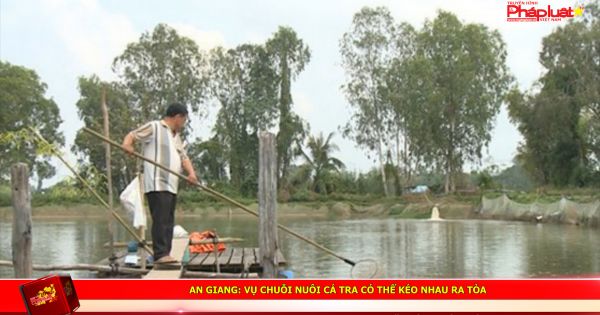 An Giang: Vụ chuỗi nuôi cá tra có thể kéo nhau ra tòa