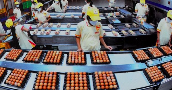 Công ty Ba Huân nhờ Thủ tướng can thiệp để hủy hợp tác với VinaCapital