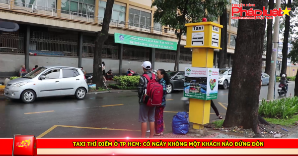 Taxi thí điểm ở TP HCM: Có ngày không một khách nào đứng đón