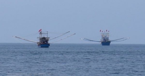 Triển khai Luật Thủy sản và khắc phục “thẻ vàng” IUU
